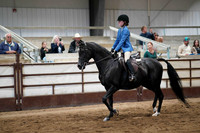 288 Region 17 A/HA/AA English/Country Hunter Pl Walk/Trot 10 & Under Championship