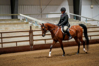 251 Region 17 Arabian Sport Horse Under Saddle Jr Horse Championship