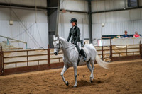 240 Region 17 Arabian Sport Horse Under Saddle ATR Championship
