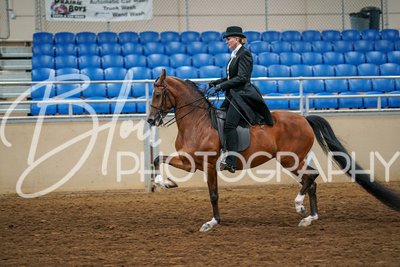 Aurora Show June 6, 2024  - 04768