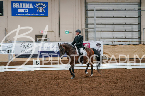 Aurora Show June 6, 2024  - 00936