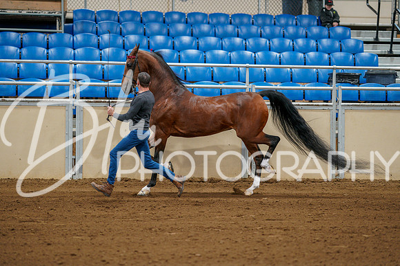 Fall Classic Sept 28, 2024 - 0094