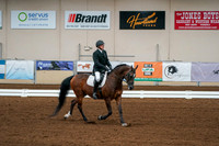 Aurora Show June 6, 2024  - 00925