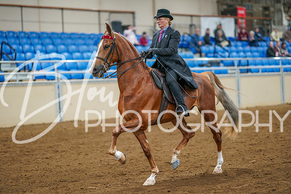 Fall Classic Sept 28, 2024 - 0703