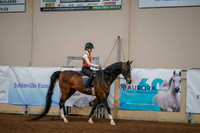 128 - ACADEMY Walk/Trot/Jog Pleasure All Disciplines Any Age