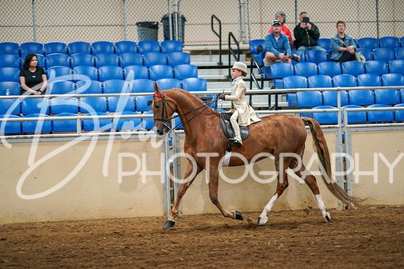 Aurora Show June 6, 2024  - 03874