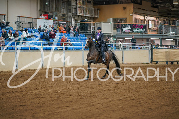 Aurora Show June 8, 2024  - 00979