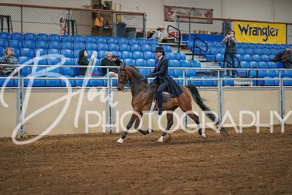 Aurora Show June 8, 2024  - 02508