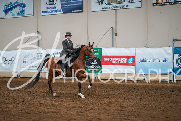Aurora Show June 8, 2024  - 02588