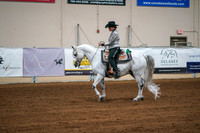 Aurora Show June 6, 2024  - 03773
