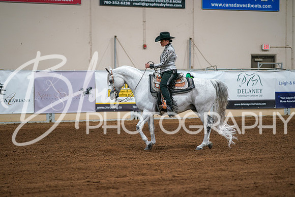 Aurora Show June 6, 2024  - 03773