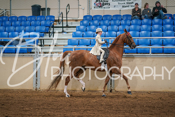 Aurora Show June 6, 2024  - 03880