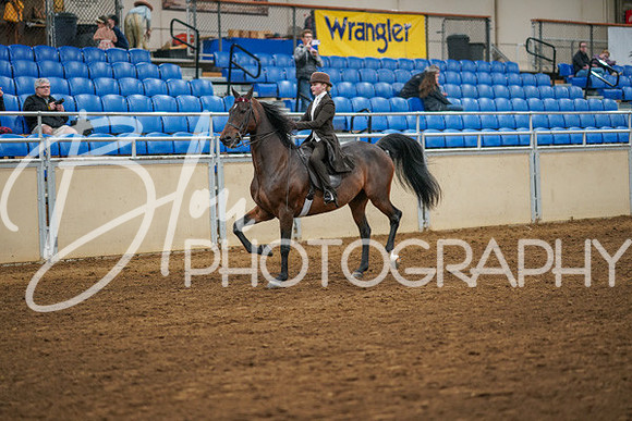 Aurora Show June 8, 2024  - 02569