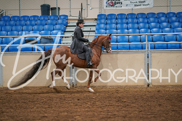 Aurora Show June 6, 2024  - 04807
