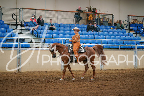 Aurora Show June 6, 2024  - 03798