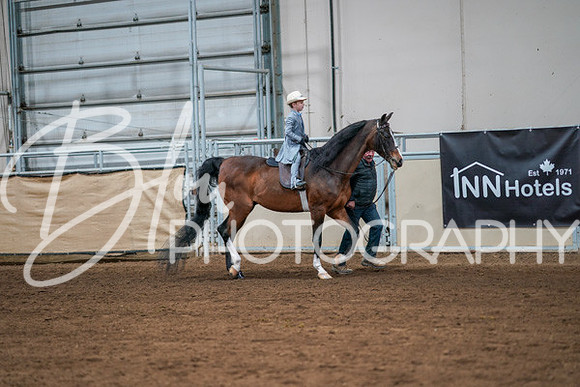 Aurora Show June 8, 2024  - 00909
