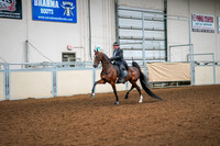 77 - American Saddlebred 5-Gaited Stake