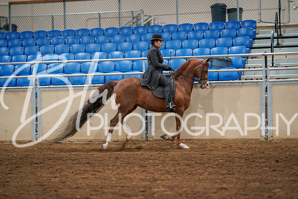 Aurora Show June 6, 2024  - 04804