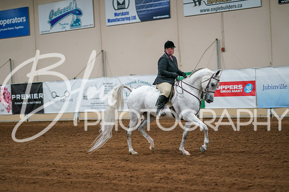 Aurora Show June 6, 2024  - 04283