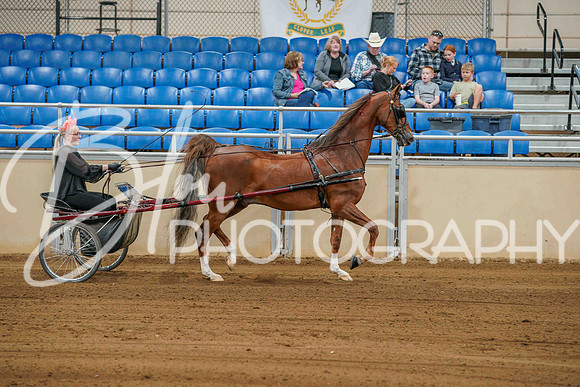 ACHS July 13, 2025 - 3038