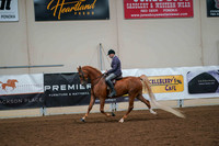 132 - MORGAN Hunter Pleasure Open