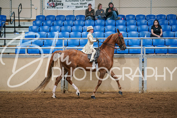 Aurora Show June 6, 2024  - 03882