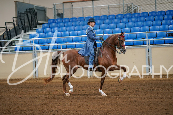 Aurora Show June 8, 2024  - 00381