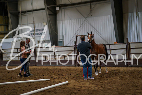 Region 17 July 9, 2025 - 2121