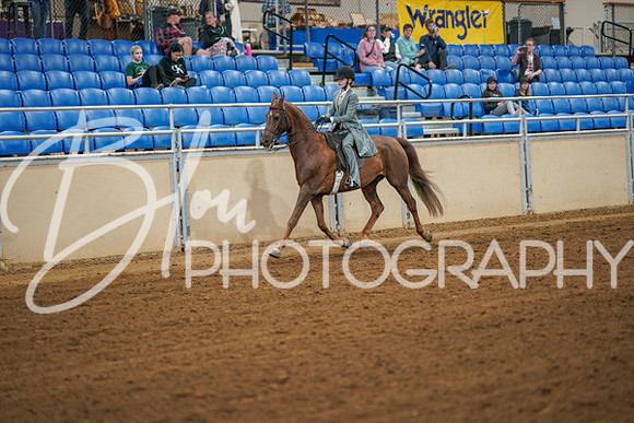 Aurora Show June 7, 2024  - 02591