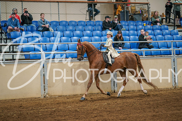 Aurora Show June 6, 2024  - 03871