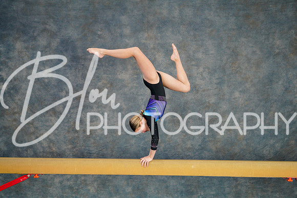 Airdrie Edge Gymnastics Feb 2, 2025 - 0159