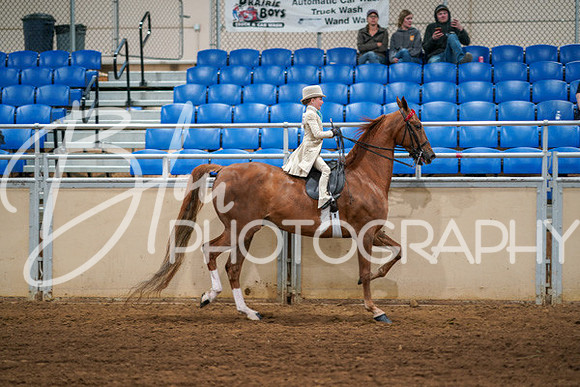 Aurora Show June 6, 2024  - 03881