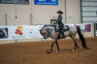 172 - AHA Medal Western Horsemanship JTR