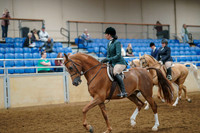 135 - HA/AA Hunter Pleasure ATR