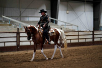 287 Region 17 HA/AA Western Pl Jr Horse Championship