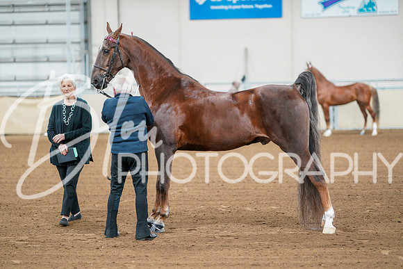 Fall Classic Sept 28, 2024 - 0010