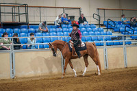 255 HA/AA Western Pleasure AOTR
