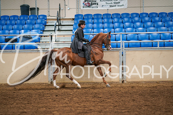 Aurora Show June 6, 2024  - 04808