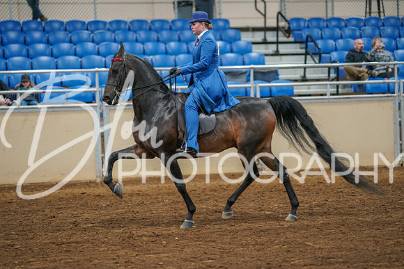 Aurora Show June 8, 2024  - 02543