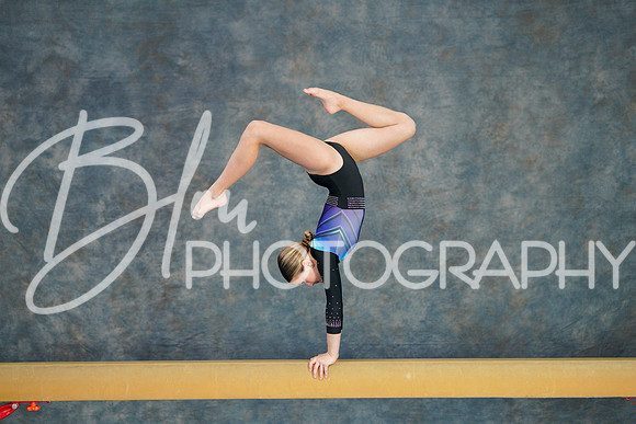 Airdrie Edge Gymnastics Feb 2, 2025 - 0170