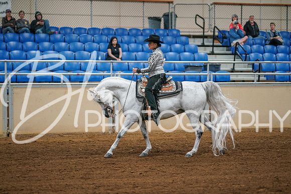 Aurora Show June 6, 2024  - 03785