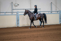 101 ALL BREEDS HUNTER PLEASURE JUNIOR/NOVICE HORSE