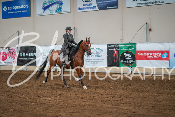 Aurora Show June 8, 2024  - 02586
