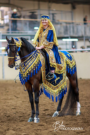 Arabian costume-1