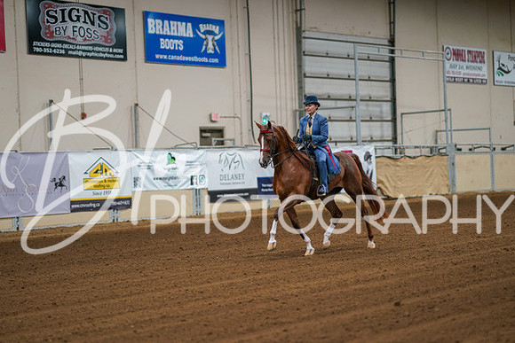Aurora Show June 8, 2024  - 00416