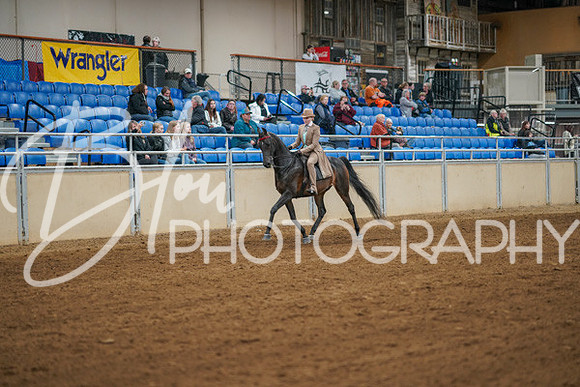 Aurora Show June 8, 2024  - 00971
