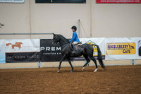 137 - ALL BREED Walk/Trot/Jog Pleasure 11 & Under