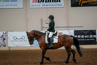 141a - Sport Horse Under Saddle - Limit Horse