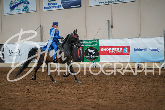 Aurora Show June 8, 2024  - 02608