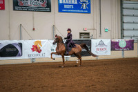 127 -ARABIAN Country English Pleasure Junior Horse